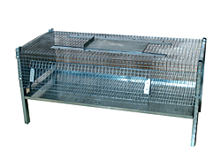 Cage pour cailles /5037